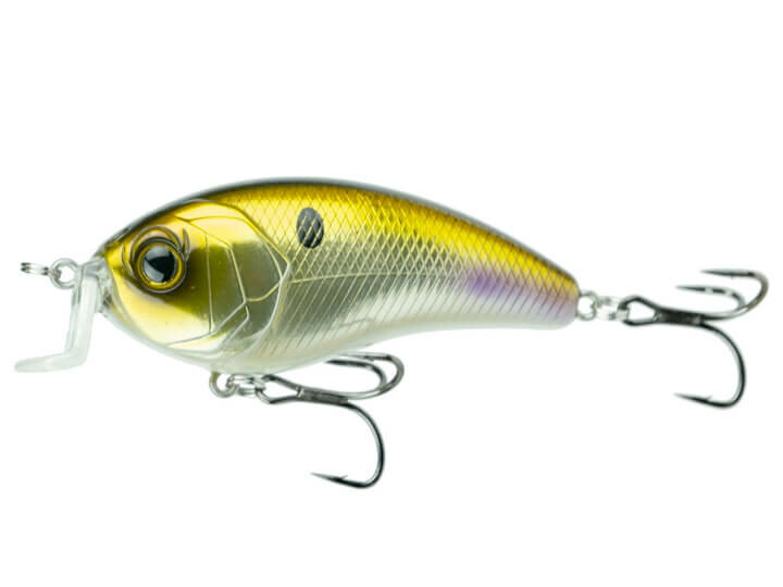 The 6th Sense | Swank Series | Chrome Shiner | 77X