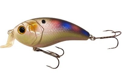 The 6th Sense | Swank Series | 4K Shad X | 77X