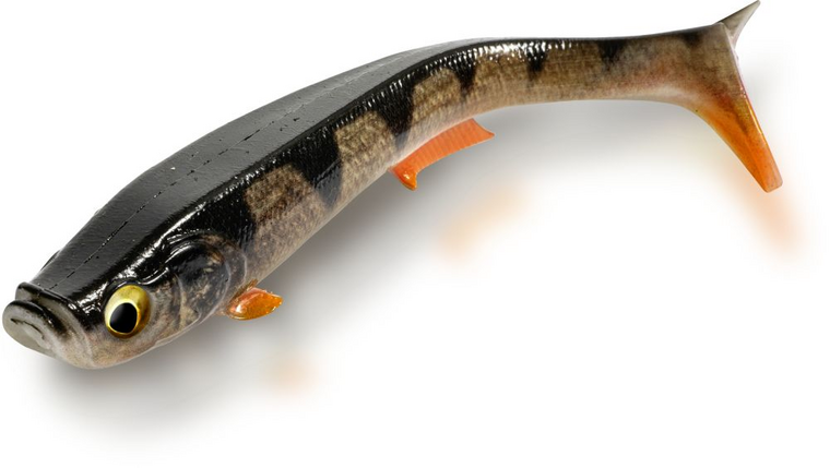 Quantum | Tarp Shad | 19 cm | Real Perch